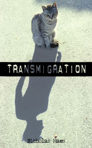 [A Felix Taylor Adventure 01] • Transmigration